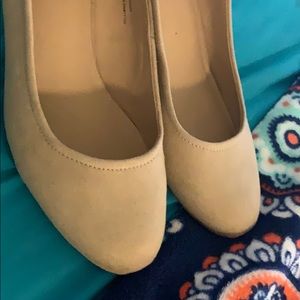 Meet your Posher, Daisy